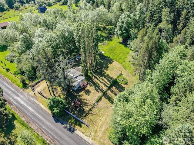 595 Oyler Rd, Ethel, WA 98542 - bird's eye view