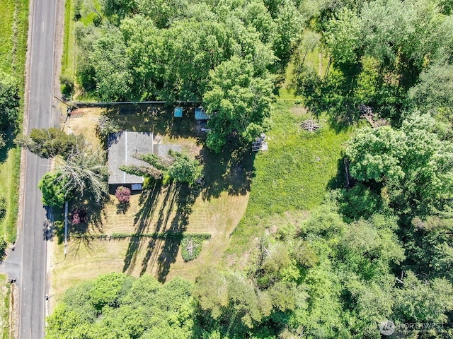 595 Oyler Rd, Ethel, WA 98542 - drone / aerial view
