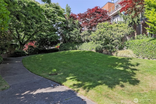 101 NW 58th St Unit 9, Seattle, WA 98107 - view of green lawn