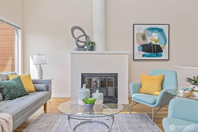 101 NW 58th St Unit 9, Seattle, WA 98107 - living room with wood finished floors and a fireplace with flush hearth