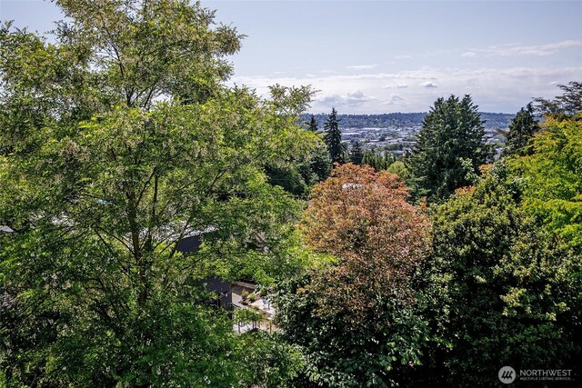 101 NW 58th St Unit 9, Seattle, WA 98107 - view of wooded area