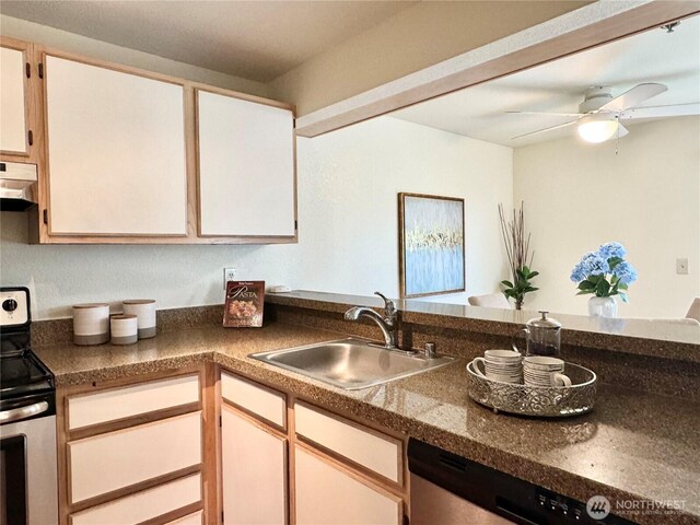28606 16th Ave S Unit 102, Federal Way, WA 98003 - kitchen featuring appliances with stainless steel finishes, a sink, under cabinet range hood, and a ceiling fan