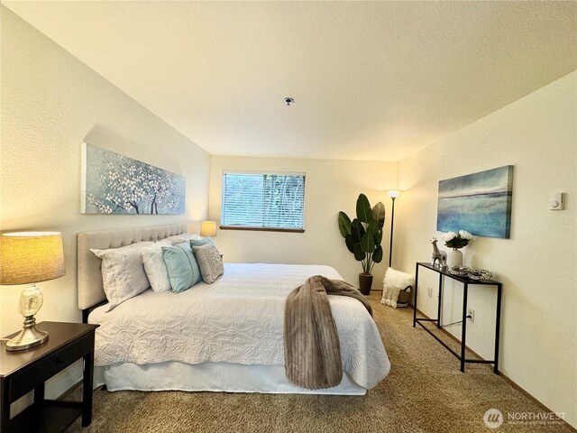 28606 16th Ave S Unit 102, Federal Way, WA 98003 - bedroom with carpet floors