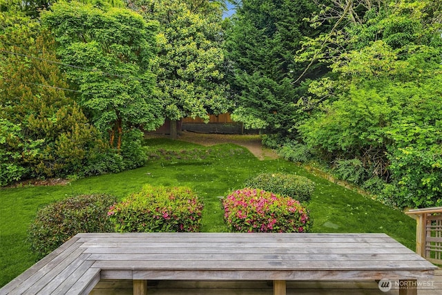 6522 42nd Ave NE, Seattle, WA 98115 - view of green lawn featuring a deck