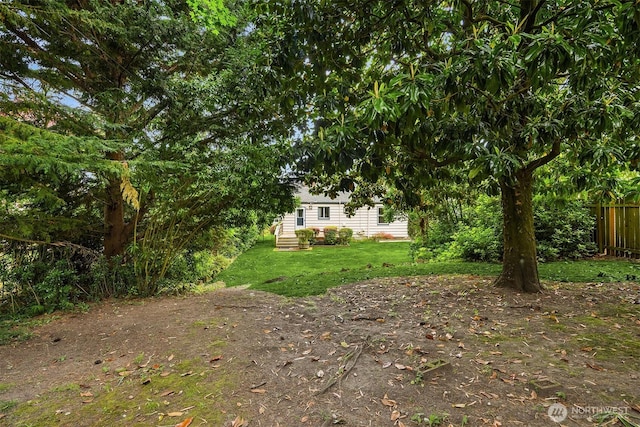 6522 42nd Ave NE, Seattle, WA 98115 - view of yard