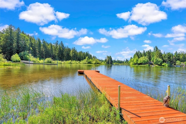 5810 E Mason Lake Dr W, Grapeview, WA 98546 - dock area featuring a water view