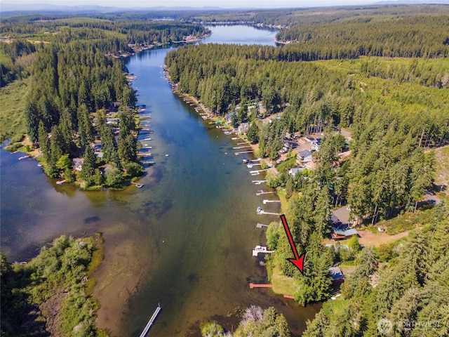 5810 E Mason Lake Dr W, Grapeview, WA 98546 - aerial view of property and surrounding area with a heavily wooded area and a nearby body of water