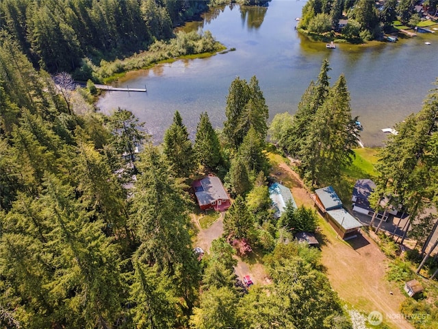 5810 E Mason Lake Dr W, Grapeview, WA 98546 - bird's eye view of a large body of water
