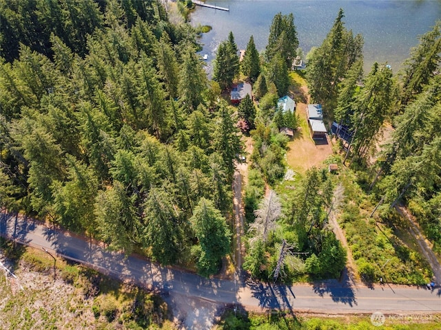 5810 E Mason Lake Dr W, Grapeview, WA 98546 - view from above of property