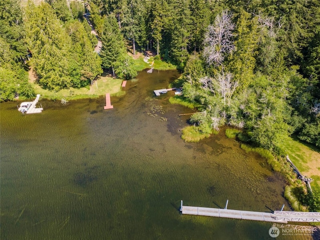 5810 E Mason Lake Dr W, Grapeview, WA 98546 - bird's eye view of a forest