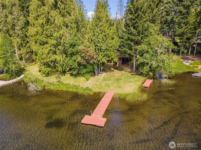 5810 E Mason Lake Dr W, Grapeview, WA 98546 - drone / aerial view of a nearby body of water