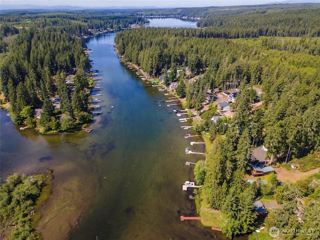 5810 E Mason Lake Dr W, Grapeview, WA 98546 - aerial view of property's location featuring a heavily wooded area and a nearby body of water