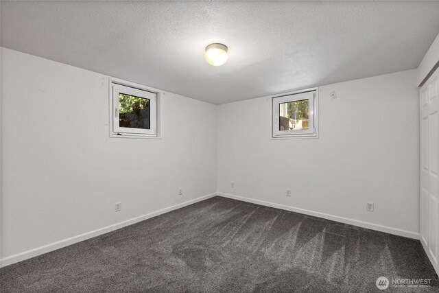 1315 SW 310th St, Federal Way, WA 98023 - basement featuring dark colored carpet, a textured ceiling, and baseboards