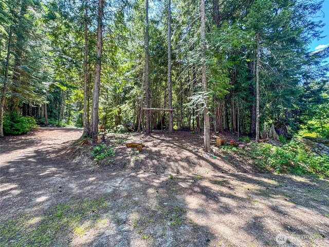27977 Napeequa Dr, Leavenworth, WA 98826 - photo 16