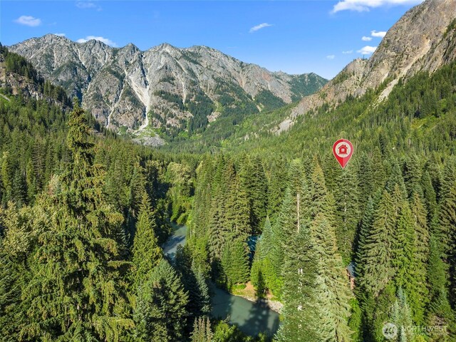 27977 Napeequa Dr, Leavenworth, WA 98826 - photo 2