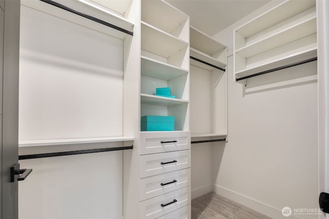 1002 N 31st St, Renton, WA 98056 - walk in closet with carpet