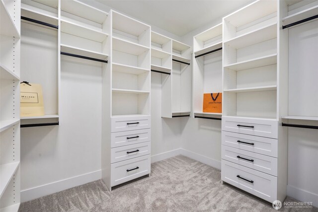 1002 N 31st St, Renton, WA 98056 - walk in closet with light carpet