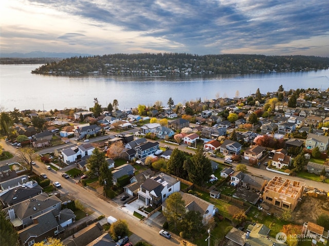 1002 N 31st St, Renton, WA 98056 - view of property location featuring a large body of water and nearby suburban area