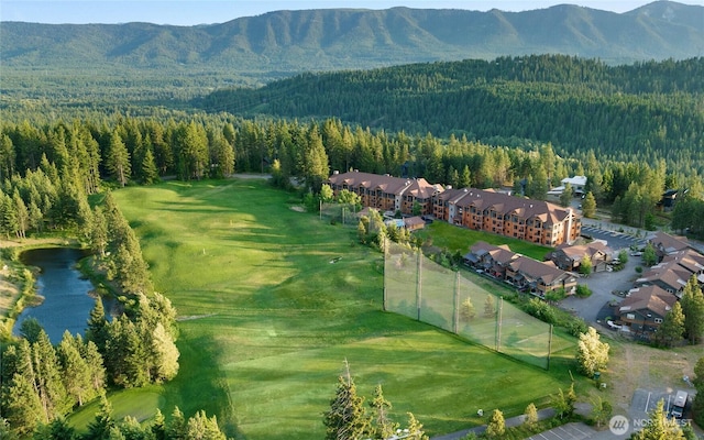 3770 Suncadia Trl Unit 110, Cle Elum, WA 98922 - aerial view of property's location with a heavily wooded area and a mountainous background