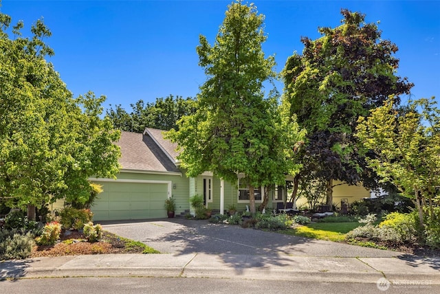 14566 86th Pl NE, Kenmore, WA 98028 - view of property hidden behind natural elements featuring an attached garage and asphalt driveway