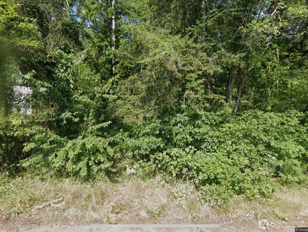 31 NE Burt Ct, Belfair, WA 98528 - photo 1