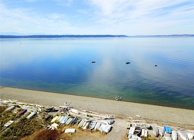 209 Burke Dr, Camano Island, WA 98282 - photo 28