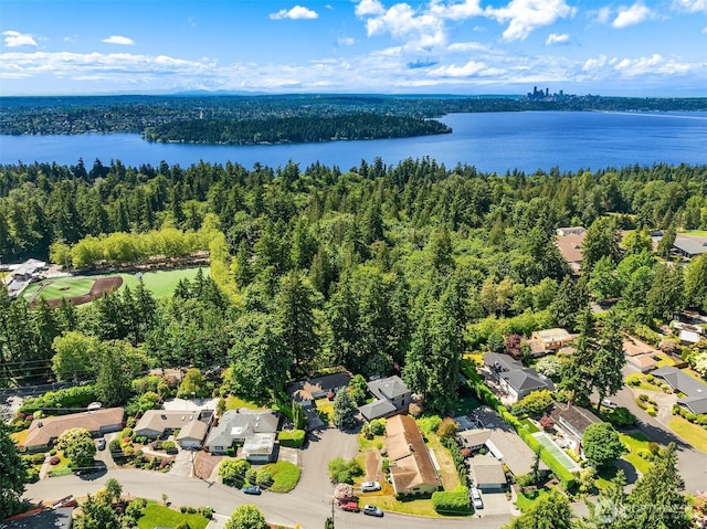 5619 89th Ave SE, Mercer Island, WA 98040 - aerial perspective of suburban area with a nearby body of water and a heavily wooded area