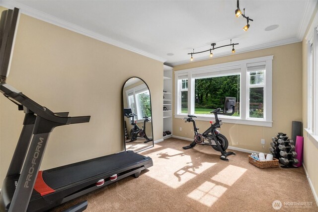 10923 Tilley Rd S, Olympia, WA 98512 - photo 13