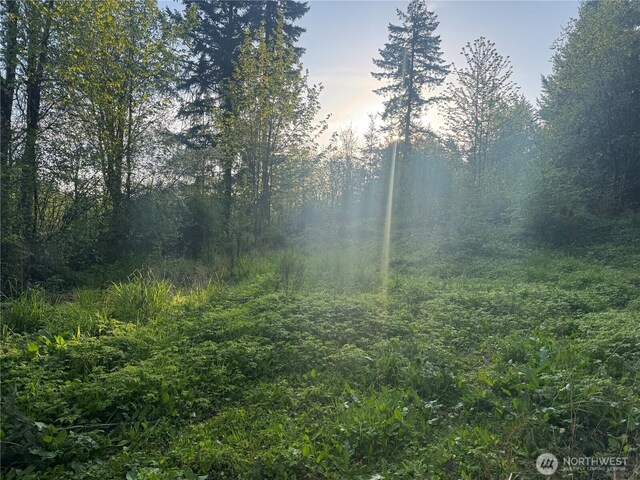 32919 82nd Ave S, Roy, WA 98580 - photo 5