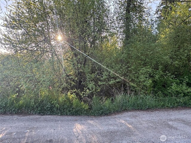 32919 82nd Ave S, Roy, WA 98580 - photo 2