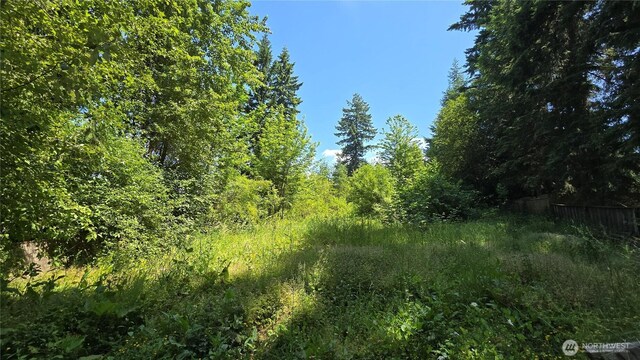 32919 82nd Ave S, Roy, WA 98580 - photo 1