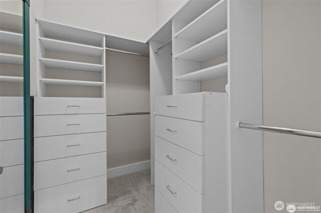 31 Etruria St Unit B, Seattle, WA 98109 - walk in closet featuring light colored carpet