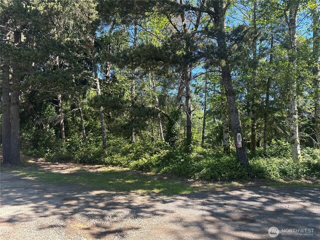 2707 221st Pl, Ocean Park, WA 98640 - photo 2