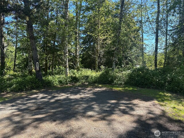 2707 221st Pl, Ocean Park, WA 98640 - photo 4