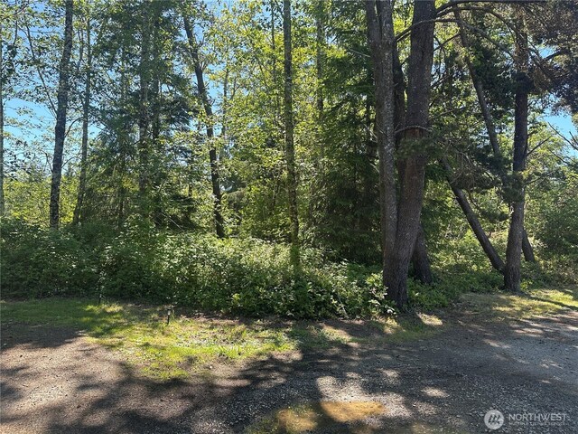 2707 221st Pl, Ocean Park, WA 98640 - photo 5
