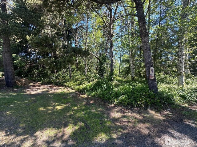 2707 221st Pl, Ocean Park, WA 98640 - photo 6