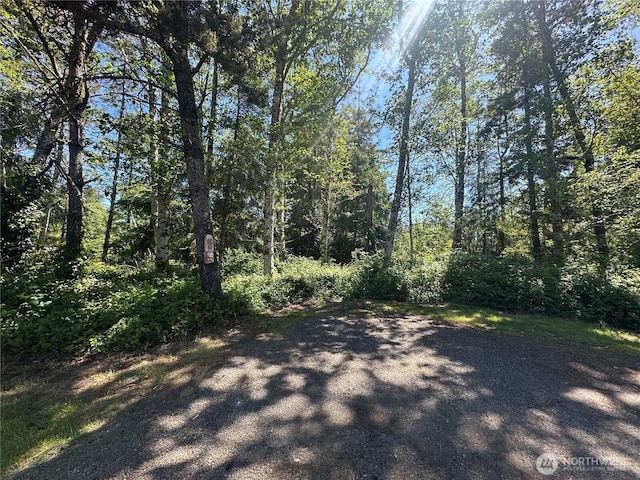 2707 221st Pl, Ocean Park, WA 98640 - photo 7