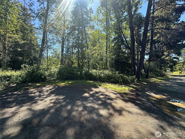 2707 221st Pl, Ocean Park, WA 98640 - photo 8