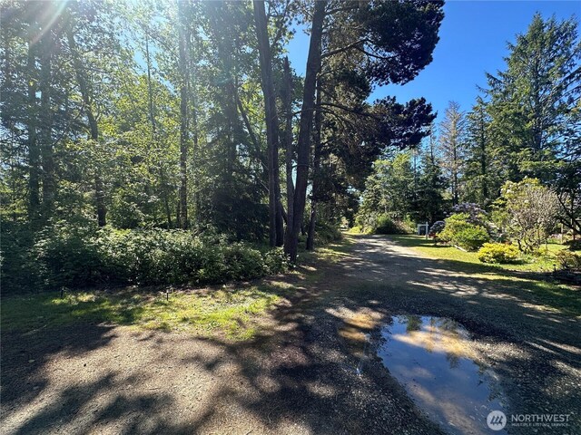 2707 221st Pl, Ocean Park, WA 98640 - photo 9