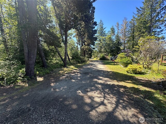 2707 221st Pl, Ocean Park, WA 98640 - photo 10