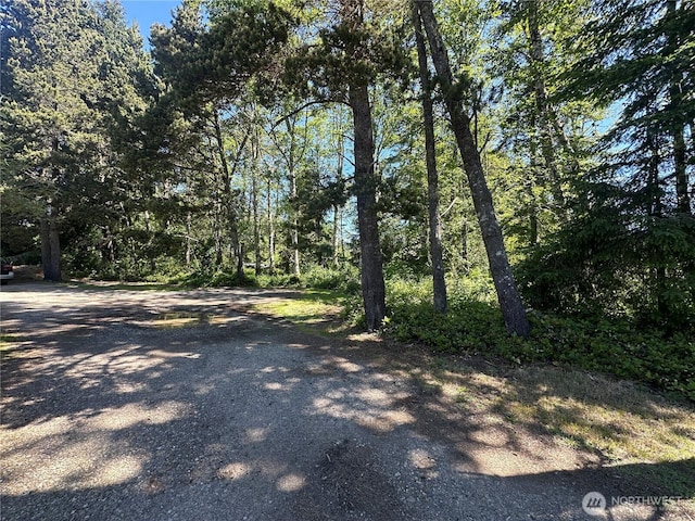 2707 221st Pl, Ocean Park, WA 98640 - photo 1