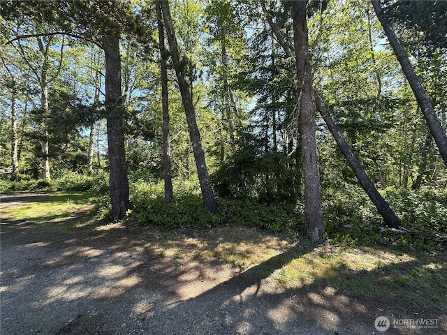 2707 221st Pl, Ocean Park, WA 98640 - photo 11