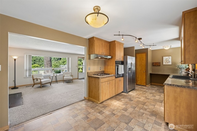 29922 5th Ave SW, Federal Way, WA 98023 - kitchen featuring stainless steel appliances, a sink, under cabinet range hood, open floor plan, and rail lighting