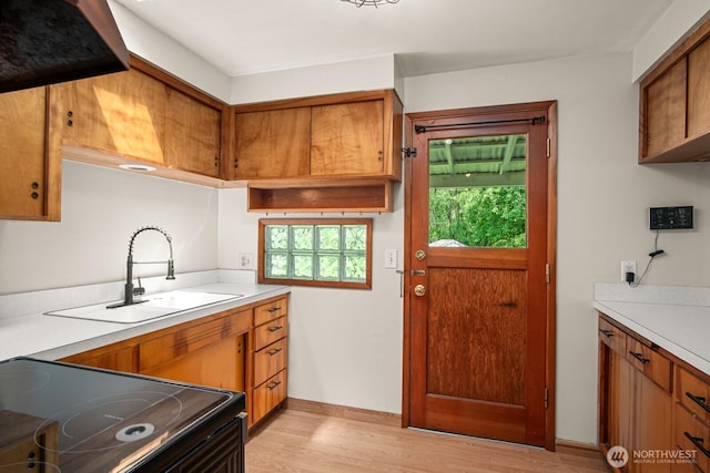 924 1st St, Sultan, WA 98294 - kitchen with black range with electric cooktop, light wood-style floors, brown cabinetry, and a sink