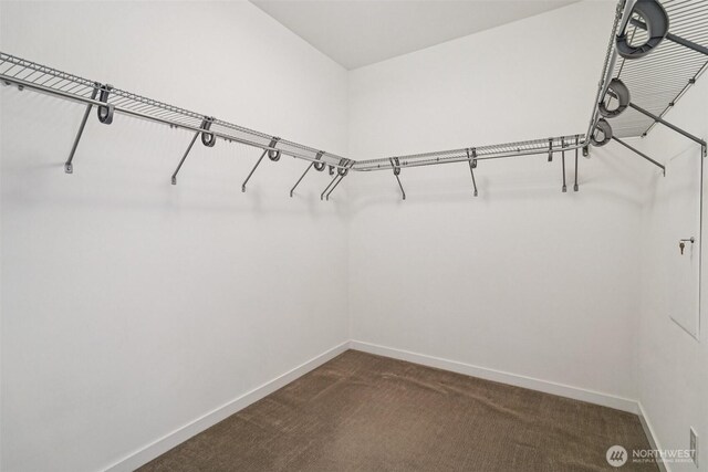 917 29th Ave S, Seattle, WA 98144 - walk in closet with dark carpet