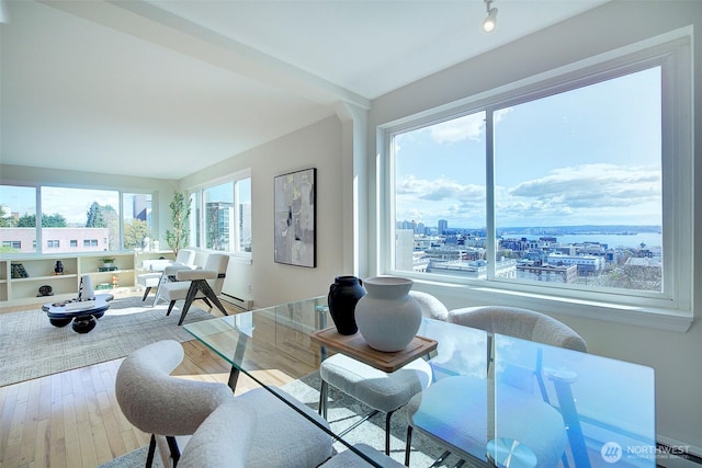 919 2nd Ave W Unit 601, Seattle, WA 98119 - living area with wood finished floors and a view of city