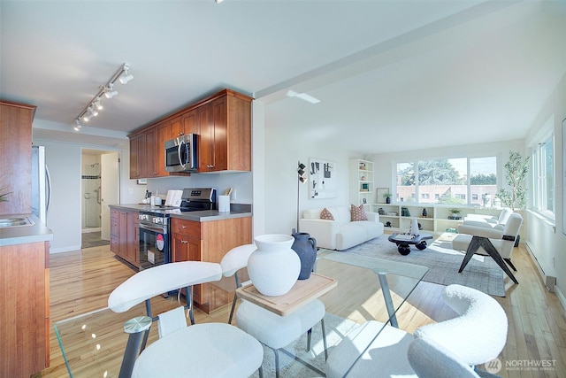 919 2nd Ave W Unit 601, Seattle, WA 98119 - kitchen featuring stainless steel appliances, rail lighting, light wood-style floors, a sink, and baseboards