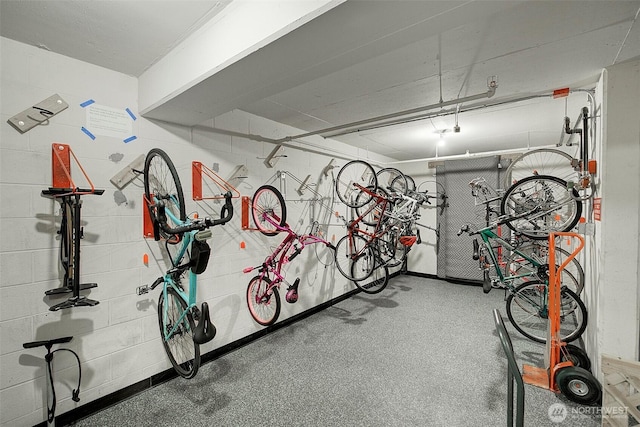 919 2nd Ave W Unit 601, Seattle, WA 98119 - garage with bike storage