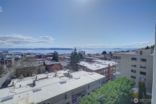 919 2nd Ave W Unit 601, Seattle, WA 98119 - view of city