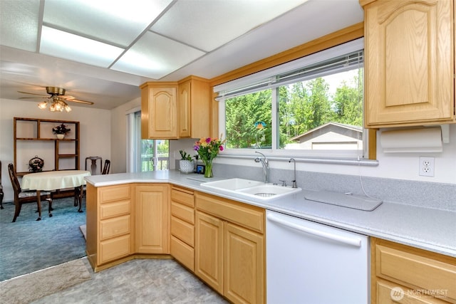 13632 183rd Ave SE, Renton, WA 98059 - photo 14